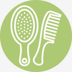 Hairbrush Icon